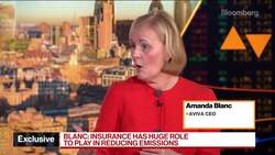 Aviva CEO Seeks International Standards to Define ESG News Clip