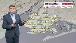 STORM WATCH: Cold and cloudy today; snow arrives tonight for Brooklyn Instructional Video
