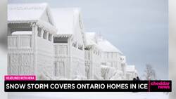 Homes Along Lake Erie Encased in Ice After Blizzard Whipped Frigid Waves Onshore News Clip