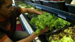 America's Family Farmers & Designing Healthy Communities - Mandela Market Place, West Oakland Instructional Video