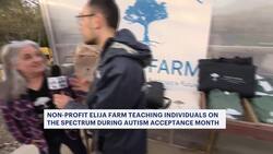 Local farm gives neurodivergent people a place to flourish News Clip