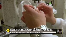 Climate change: Rising temperatures push mosquitoes & ticks beyond usual habitats News Clip
