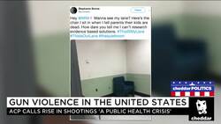 Doctors Step Up Gun Control Activism in Wake of Latest Shootings News Clip