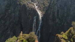 The Gondwana Rainforests: Remnants of a Prehistoric World Instructional Video