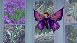 Life Science: Fruits and Seeds Instructional Video