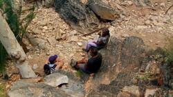 Foraging for Wichetty Grub Instructional Video