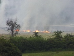 Investigar los recursos naturales de la tierra: problemática de los recursos naturales Instructional Video