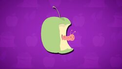 High Five Facts - Compost Instructional Video