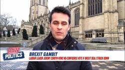 Labour is pro-EU and wants to stay aligned with Brussels, MEP tells Euronews | Raw Politics News Clip