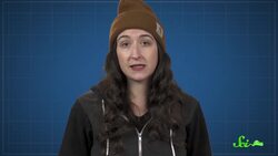 Why Do We Need Yearly Flu Shots, but Not Measles Shots? Instructional Video