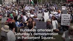 Police arrest 365 people over Palestine Action support at protest News Clip