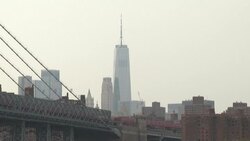 CLEAN : "The wisest thing he's done in a long time": New-Yorkers react to Cuomo resignation News Clip