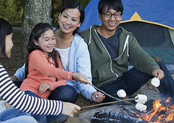 ¿De dónde vinieron los humanos? Instructional Video