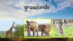 Parts of the Environment Instructional Video