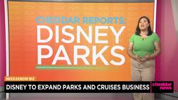 Disney to Expand Theme Park and Cruise Business News Clip