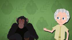 I WONDER - What Does Jane Goodall Do? Instructional Video