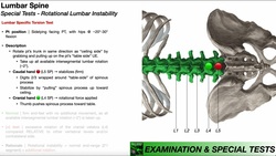 Specific Torsion Test for Lumbar Instability | Rationale & Interpretation Instructional Video