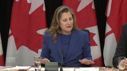 Feds ‘determined’ to defend Canada’s national interest, Freeland says after another Trump jab News Clip