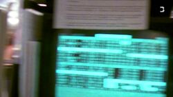 The Global Oil Bribery Scheme Caught on Tape News Clip