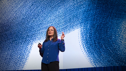 TED: Photographing nature beyond the limits of human perception | Doris Mitsch Instructional Video