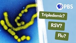 Why Is Everyone I Know Getting Sick? Instructional Video