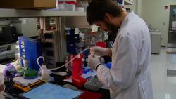 Understanding Calories: Energy, Food, and Health Instructional Video