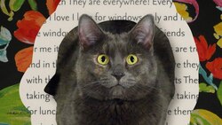 Nando the Cat reads “People Are a Living Structure Like a Coral Reef” Instructional Video