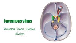 Cavernous sinus Instructional Video