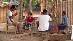 Brazil Bans Land-Clearing Fires For Two Months News Clip