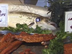 What Is a Fish?: Introduction Instructional Video