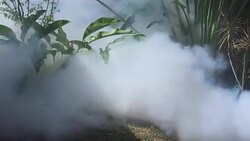 Fumigate mosquito killing to prevent disease Stock Footage
