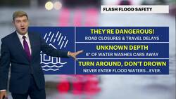 Storm tapers overnight, pleasant Monday with highs near 80 in Brooklyn News Clip