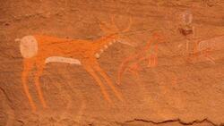 Discovering the Pronghorn Antelope: North America's Speedy and Agile Mammal Instructional Video