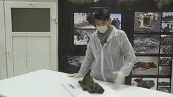 18,000-year-old puppy found preserved in Russia Instructional Video