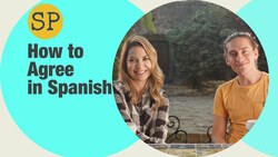 How to Agree in Spanish | Spanish Playground Instructional Video