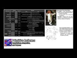 Primitive Reflexes Through 1st Year of Life [per NPTE] Instructional Video