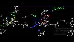Acetyl-S-CoA Carboxylase Part 2 (Transcarboxylase) Instructional Video