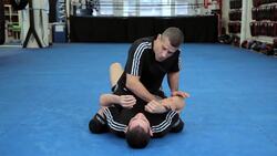 How to Do an Americana from Mount MMA Submission Instructional Video