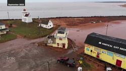 'We do have the potential to lose it at any moment,' owner says as Blue Mussel Café prepares to move News Clip