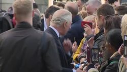 King Charles III and Prince William Queen's Lying in State queue walkabout News Clip