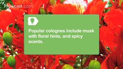 How to Choose a Men's Cologne Women Will Love Instructional Video