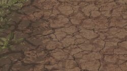 Drought Instructional Video