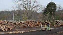 Record Lumber Prices Build as U.S. Housing Booms News Clip