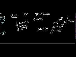 Anaplerotic Reactions Instructional Video