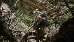 This Yellow Legged Frog Is Critically Endangered! Find Out What Scientists Are Doing to Save The Species Instructional Video