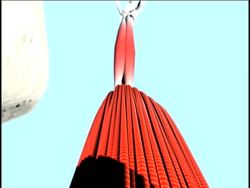 Healthy Skeletal and Muscular Systems: Your Muscular System Instructional Video