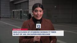 Bronx woman stabbed 17 times faces attacker in court News Clip