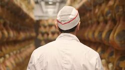 In a ham factory, a man in charge of quality control walks between the hams and controls, the perfume and the certified Italian quality. Stock Footage