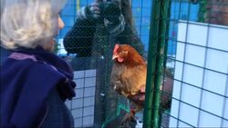 The King and Queen Consort visit a Community Kitchen in Harrow News Clip