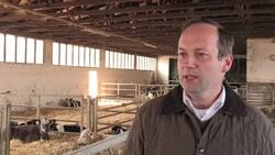 Return of the wolf means farmers fear for their livestock Instructional Video